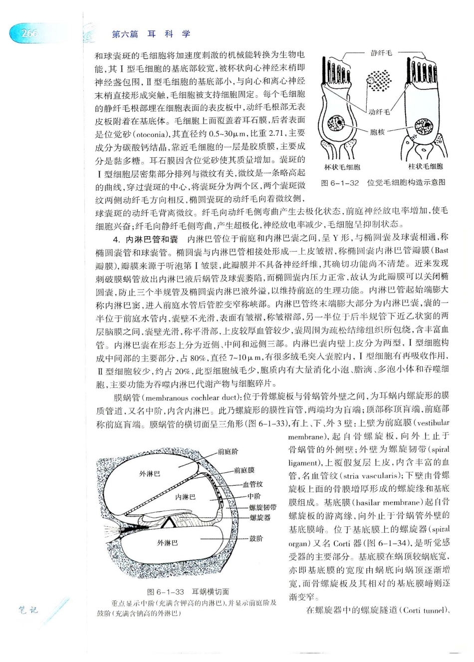 10.耳鼻咽喉头颈外科学（第8版）_301-320.pdf_第1页