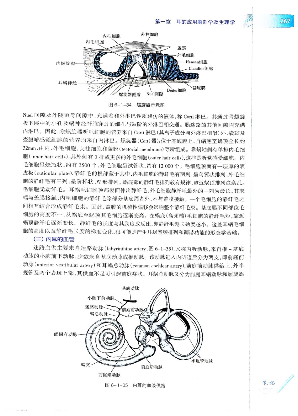 10.耳鼻咽喉头颈外科学（第8版）_301-320.pdf_第2页