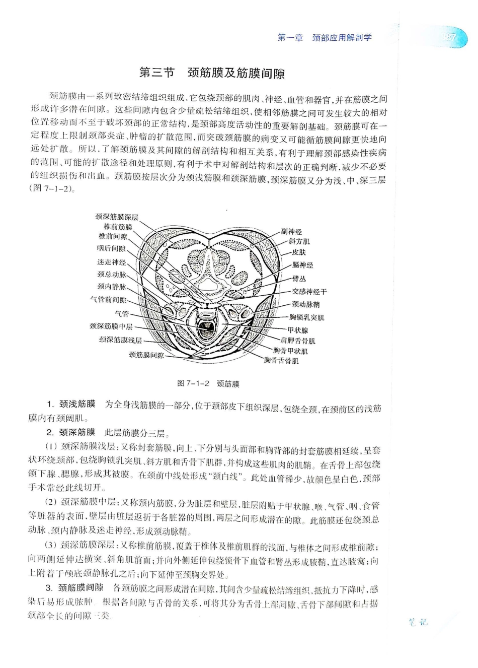 10.耳鼻咽喉头颈外科学（第8版）_421-440.pdf_第2页