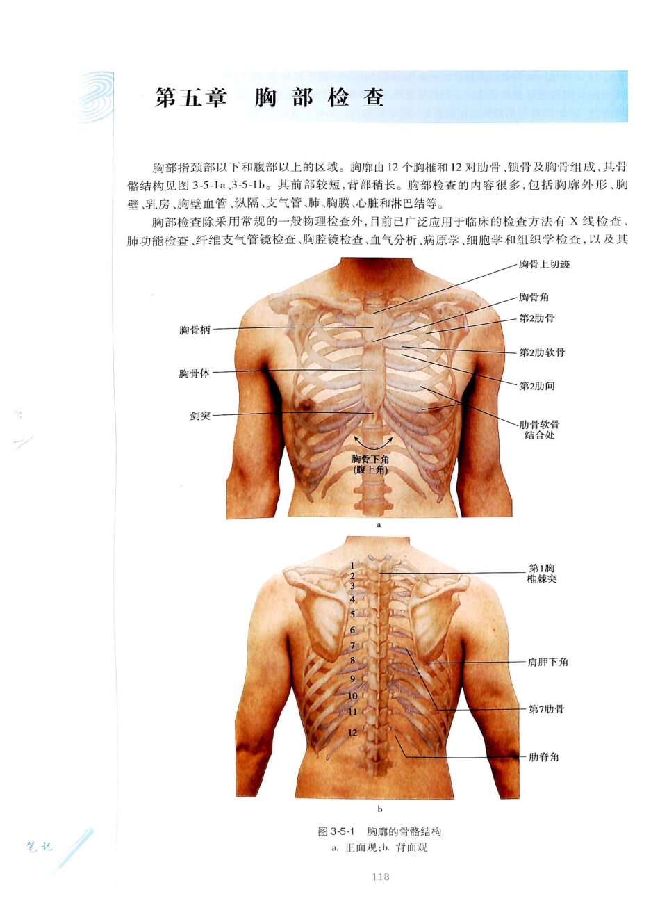 14. 诊断学（第8版）_141-160.pdf_第3页