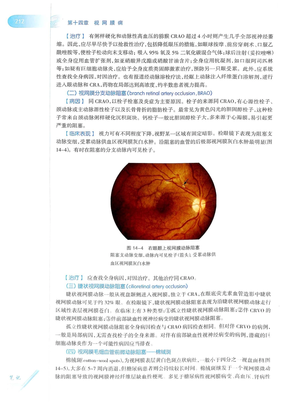 15.眼科学（第8版）_241-260.pdf_第1页