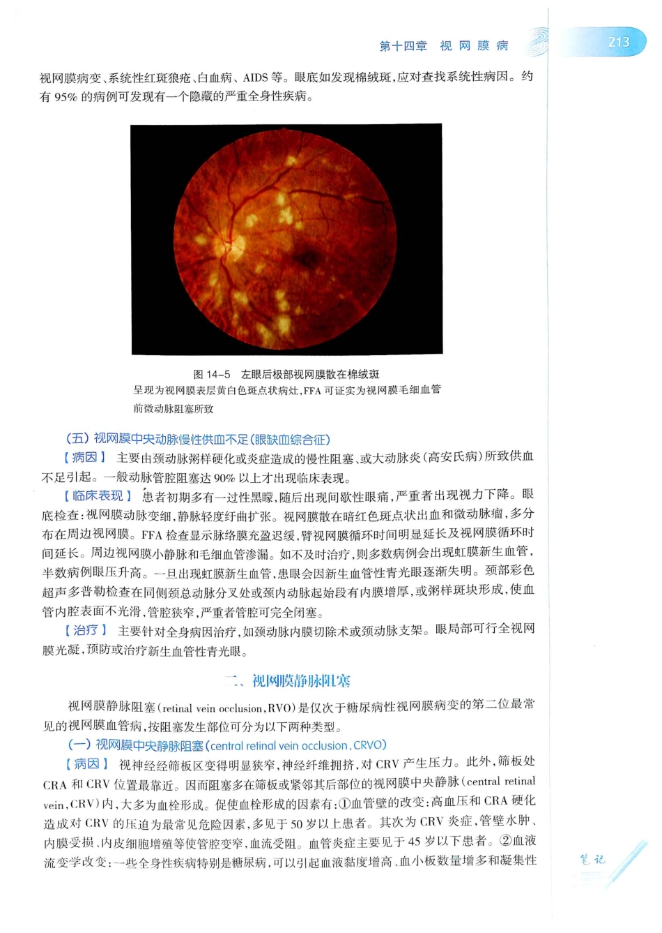 15.眼科学（第8版）_241-260.pdf_第2页