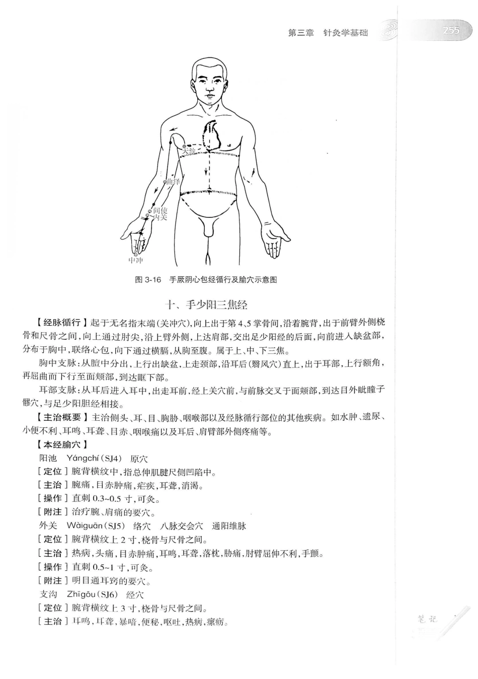 18.中医学（第8版）_281-300.pdf_第1页