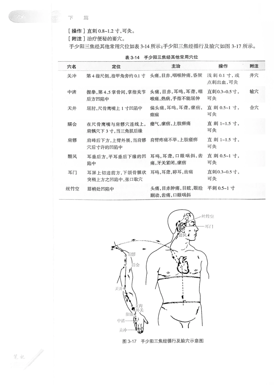 18.中医学（第8版）_281-300.pdf_第2页