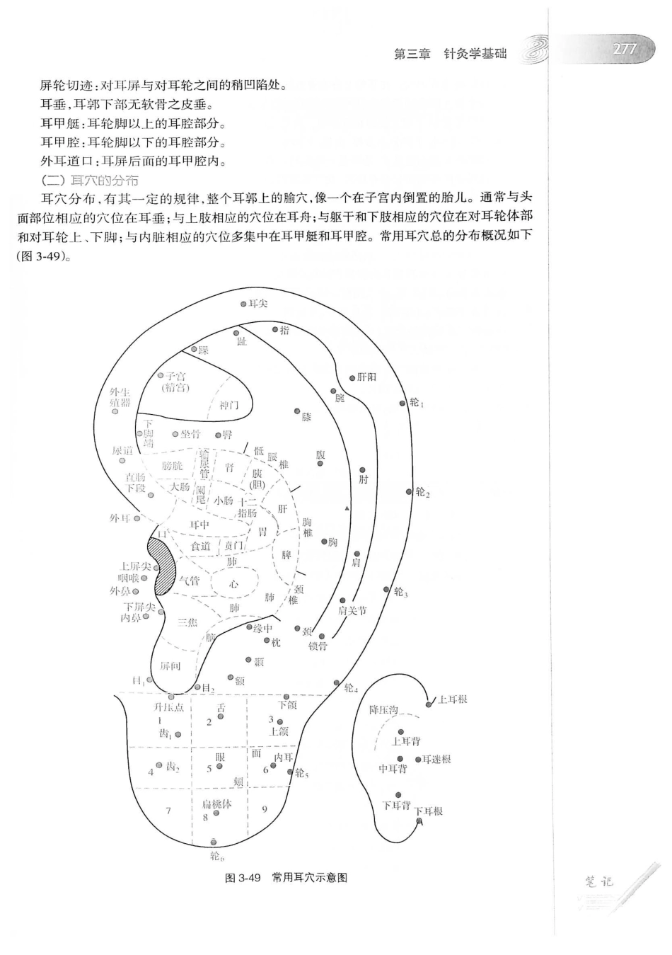 18.中医学（第8版）_301-320.pdf_第3页
