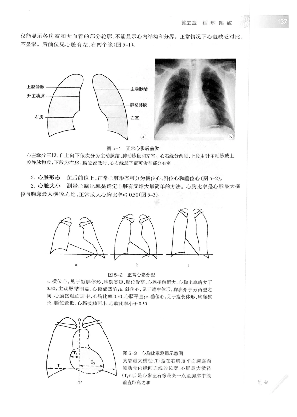19.医学影像学（第7版）_161-180.pdf_第2页