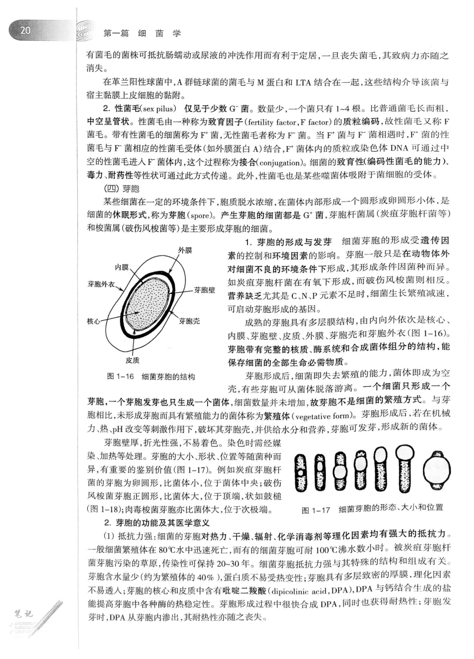 23.医学微生物学（第8版）_41-60.pdf_第1页