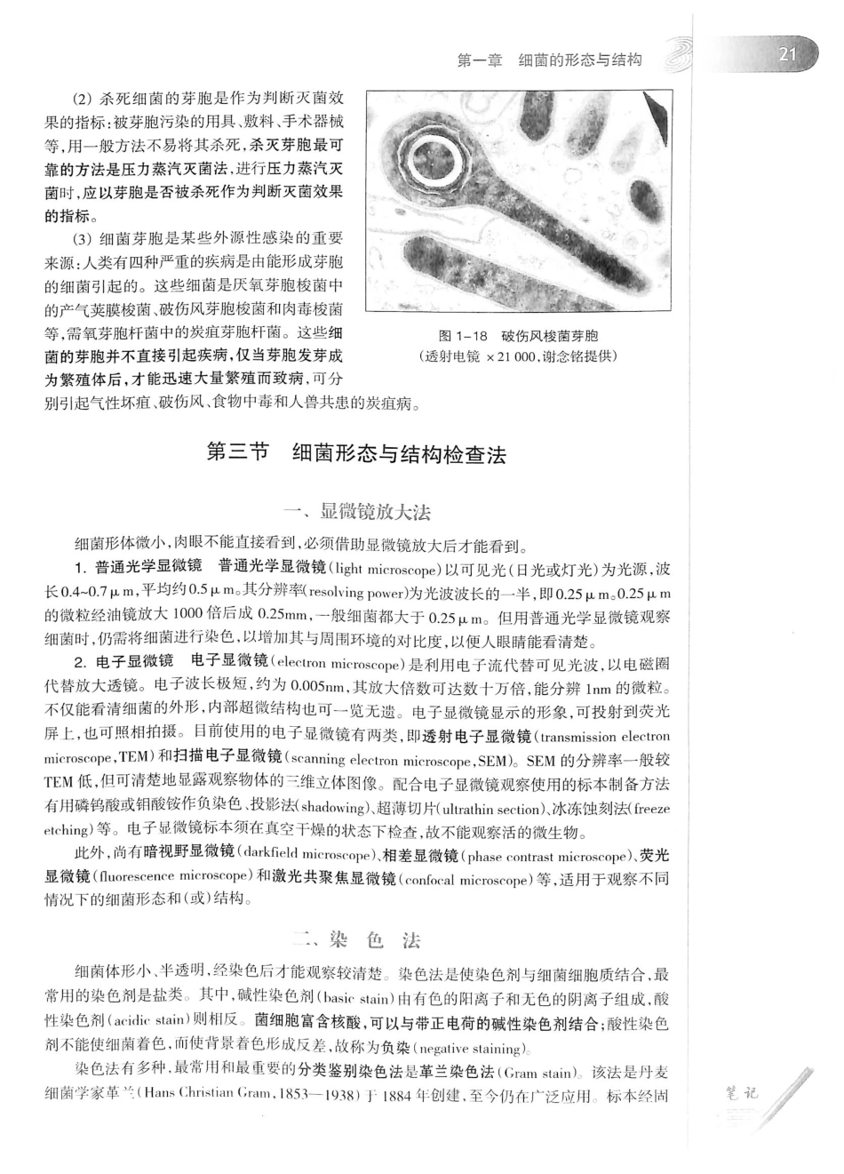 23.医学微生物学（第8版）_41-60.pdf_第2页