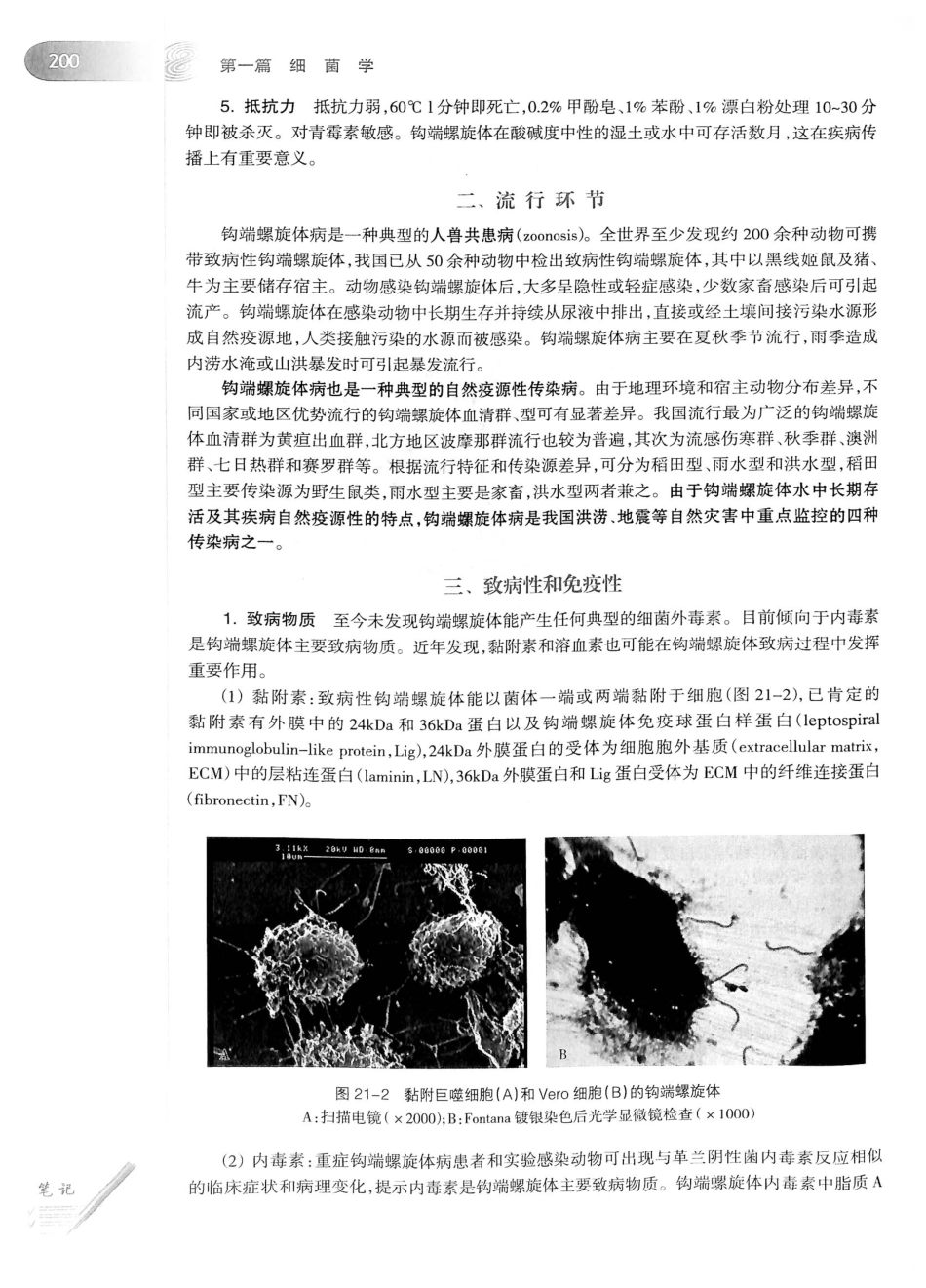 23.医学微生物学（第8版）_221-240.pdf_第1页