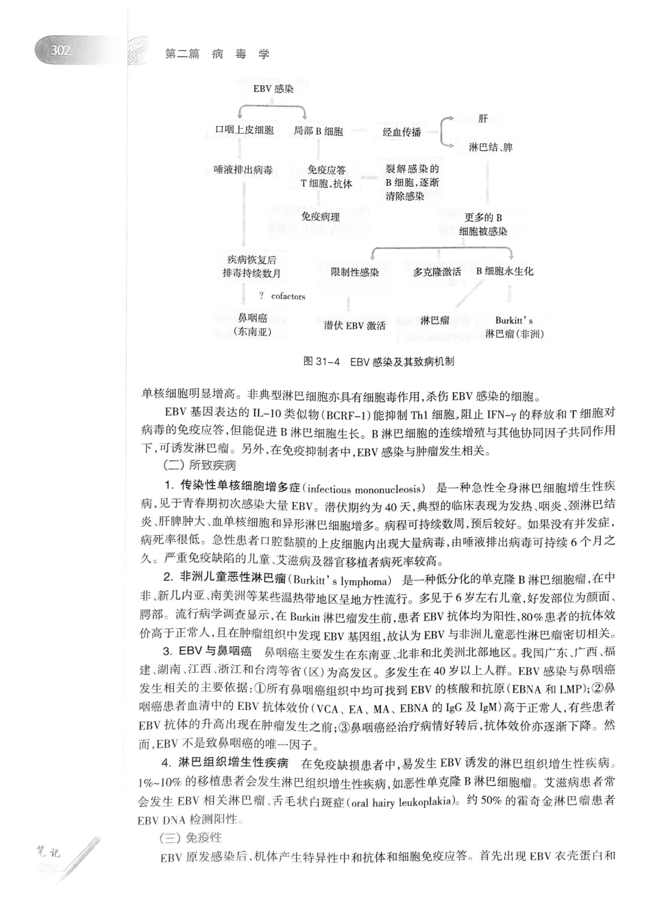 23.医学微生物学（第8版）_321-340.pdf_第3页