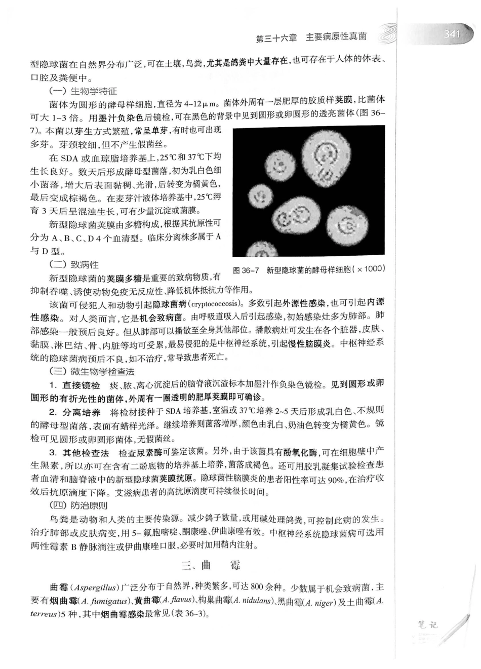 23.医学微生物学（第8版）_361-380.pdf_第2页