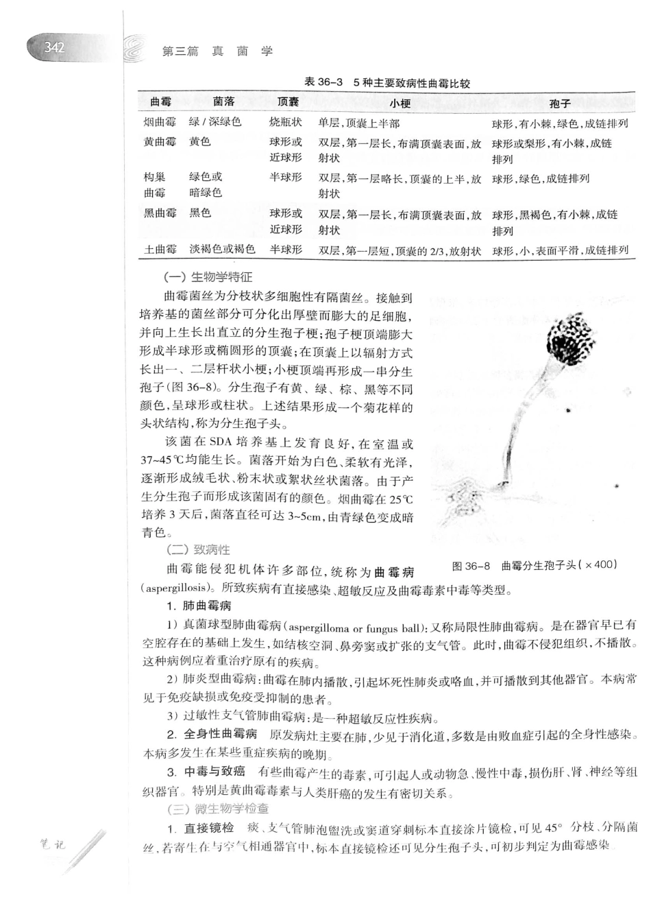 23.医学微生物学（第8版）_361-380.pdf_第3页