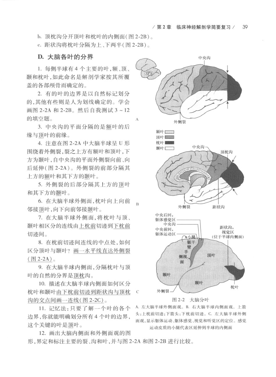 DEMYER+神经系统检查++原书第6版_13200349_61-80.pdf_第3页