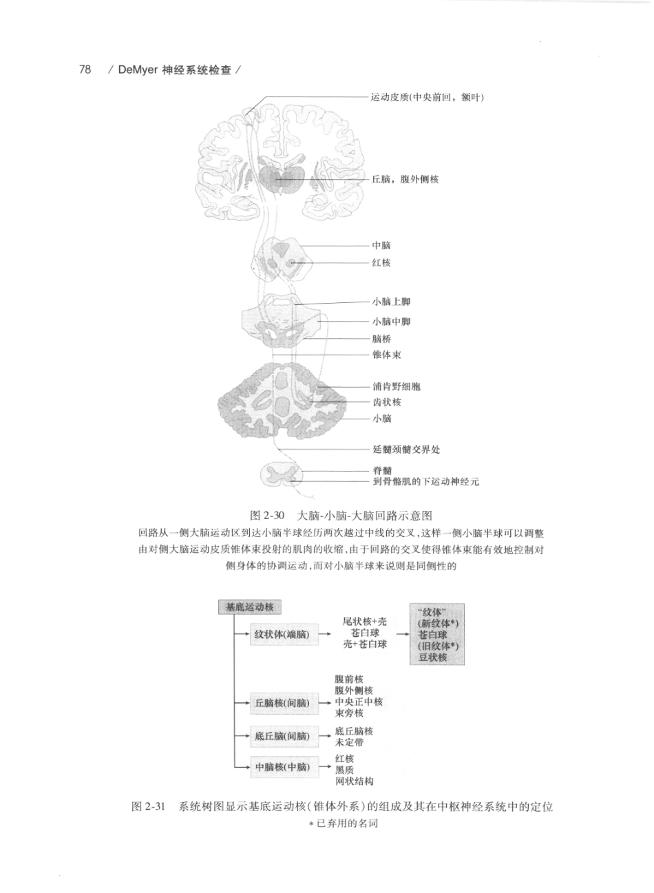 DEMYER+神经系统检查++原书第6版_13200349_101-120.pdf_第2页