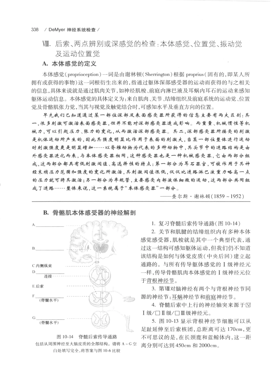 DEMYER+神经系统检查++原书第6版_13200349_361-380.pdf_第2页