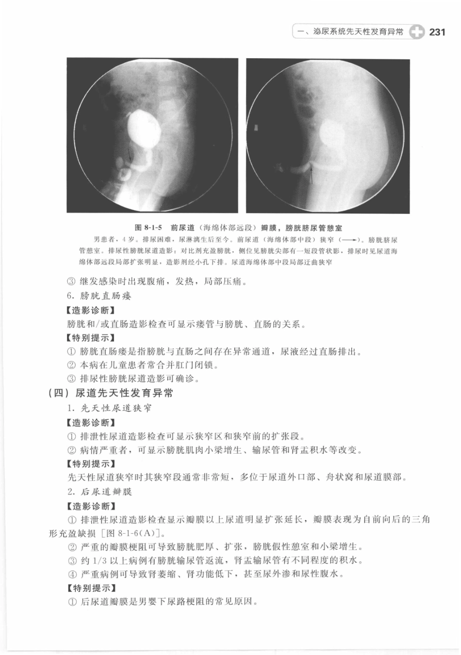 X线读片指南_13282062_241-255.pdf_第2页