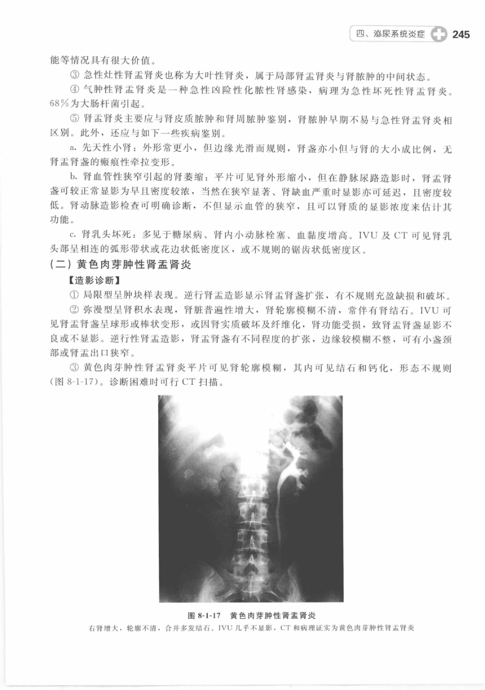 X线读片指南_13282062_256-270.pdf_第1页