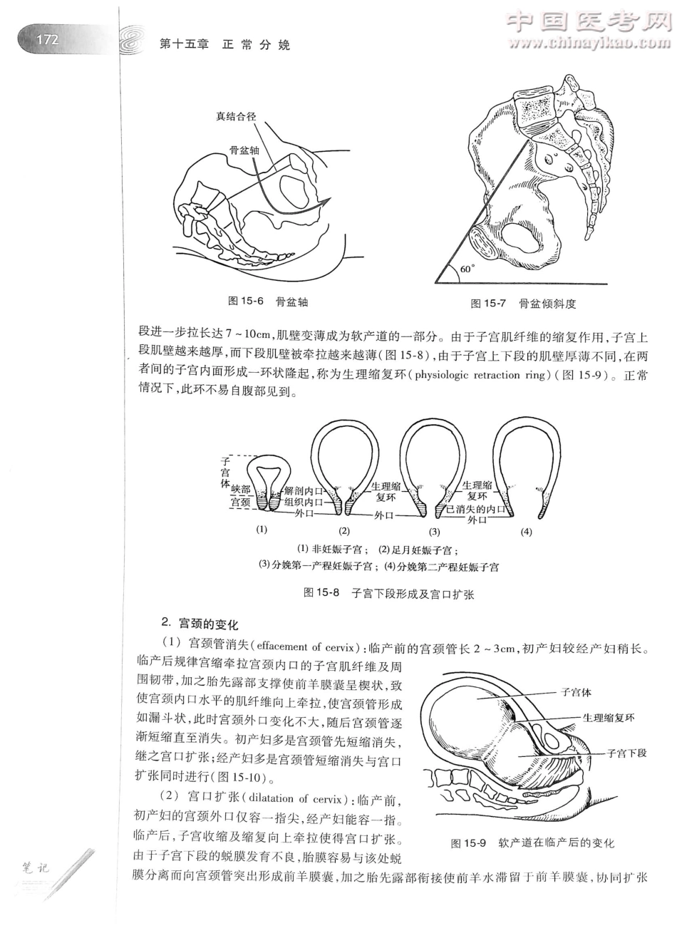 妇产科学（第8版）-www.bbyxy.]_201-220.pdf_第1页