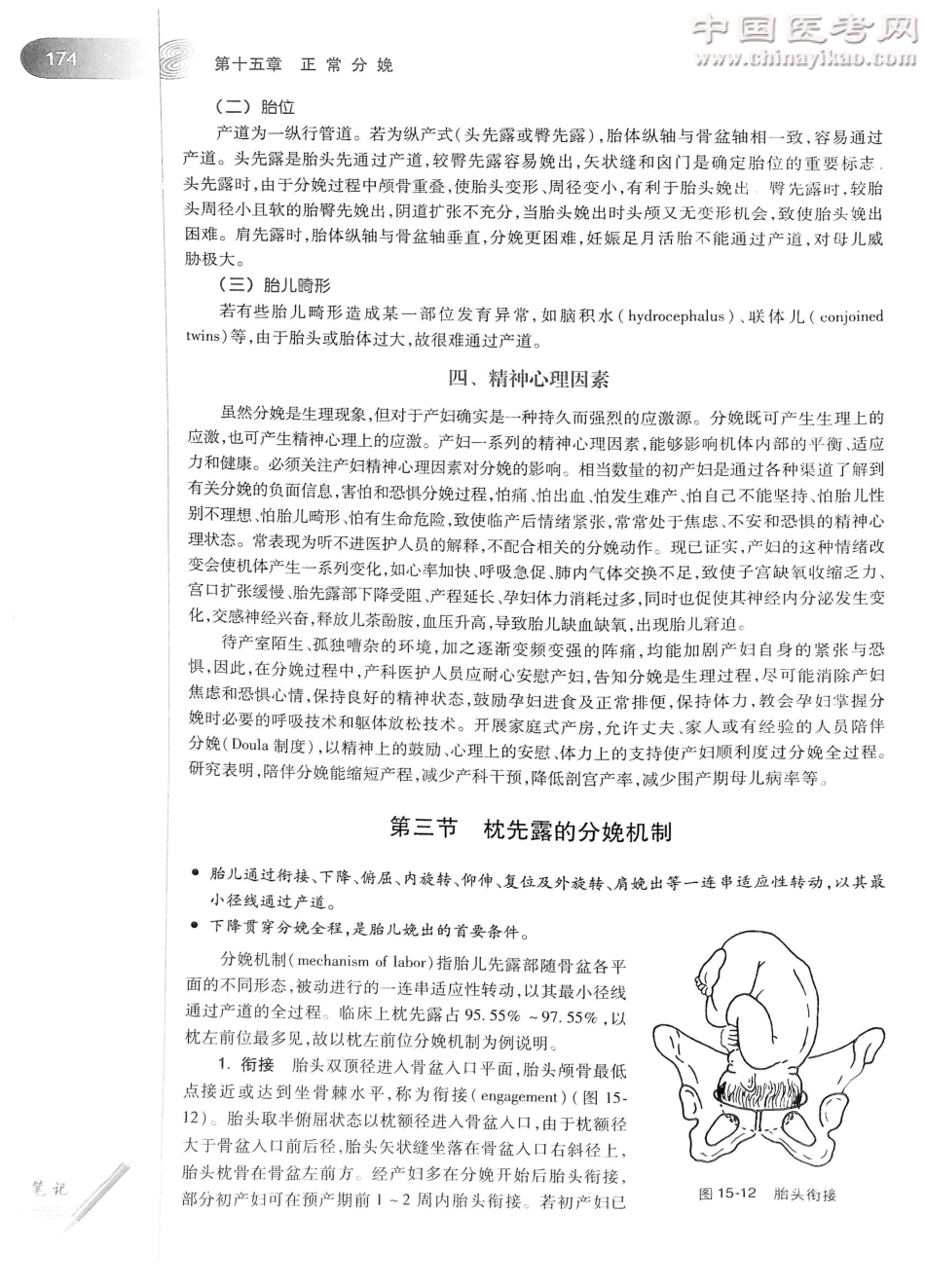 妇产科学（第8版）-www.bbyxy.]_201-220.pdf_第3页