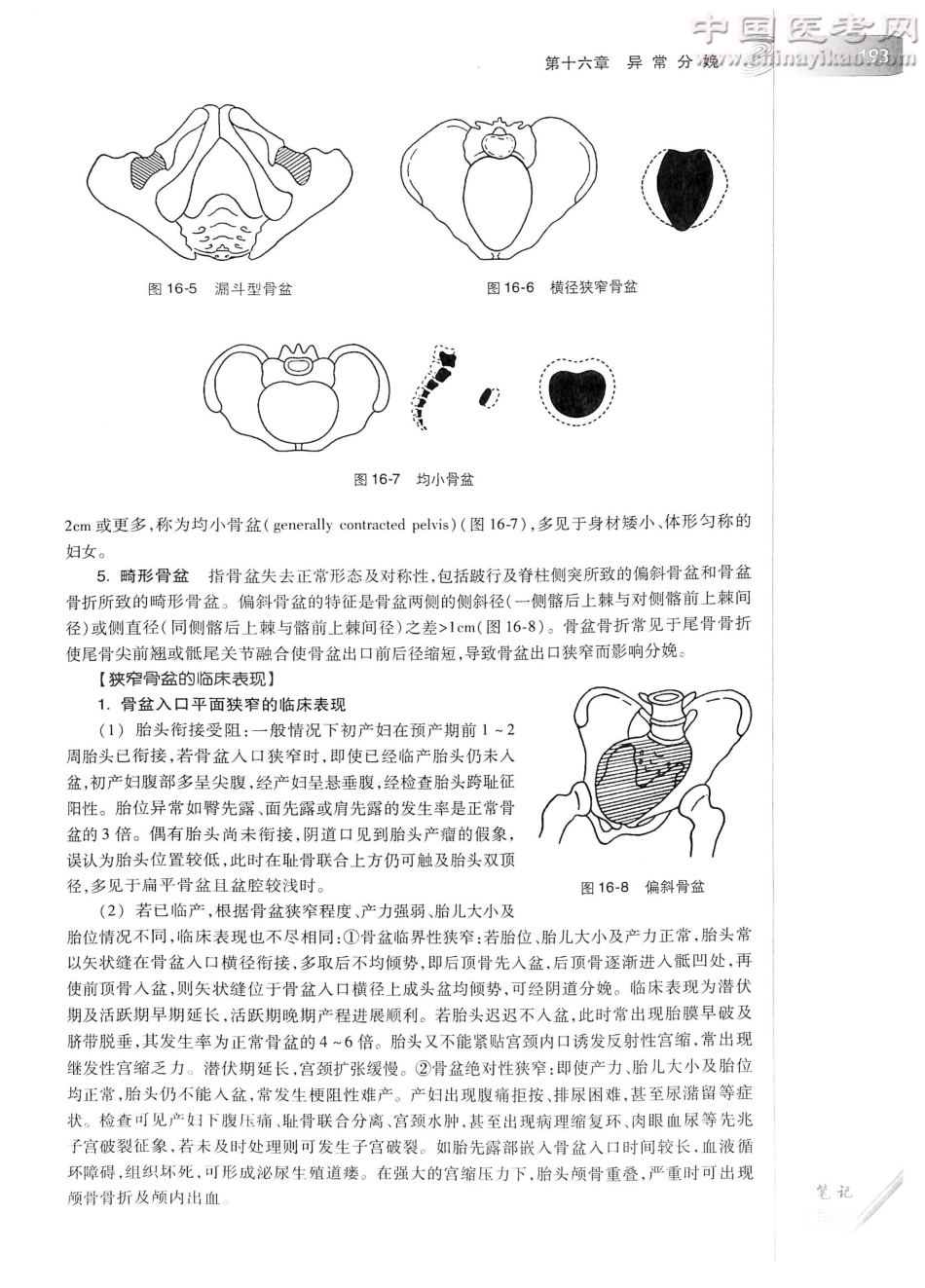 妇产科学（第8版）-www.bbyxy.]_221-240.pdf_第2页