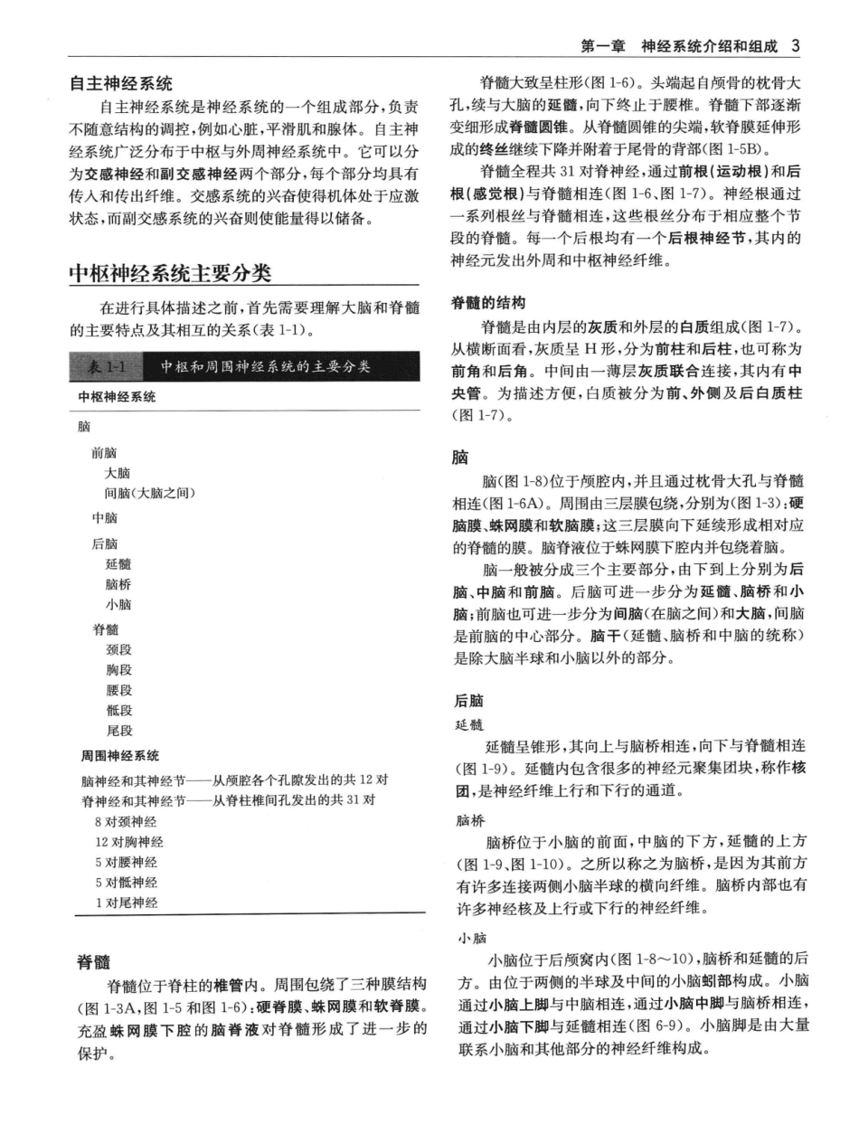 临床神经解剖++第7版_12997509_21-40.pdf_第2页