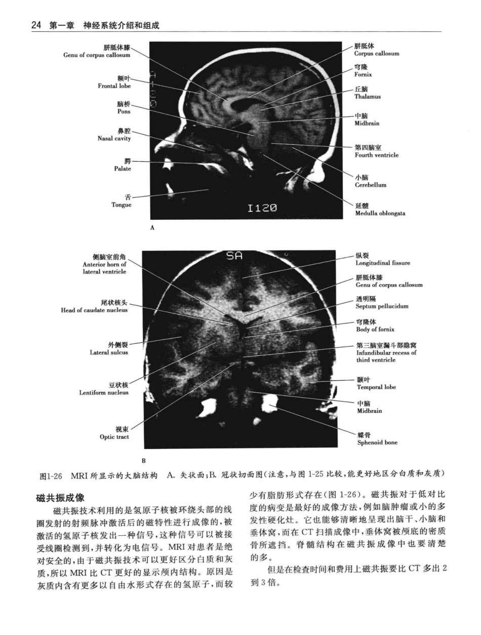 临床神经解剖++第7版_12997509_41-60.pdf_第3页