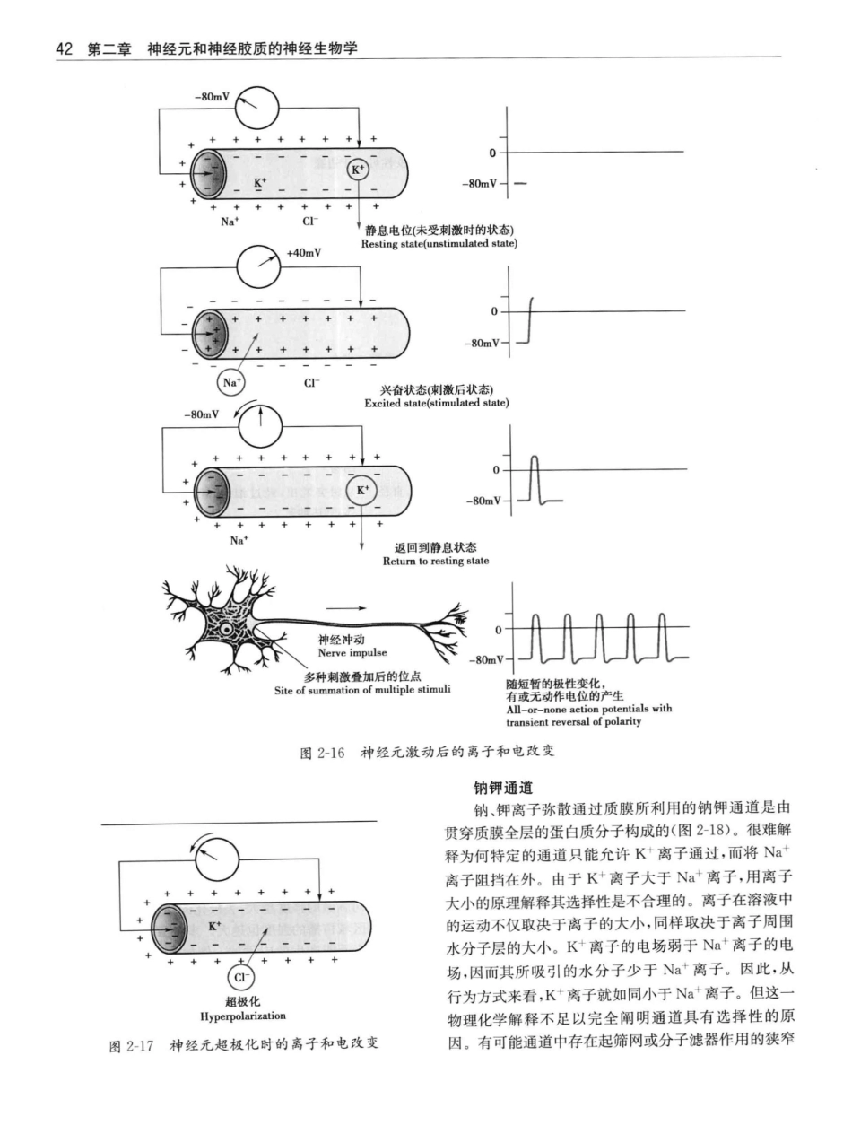 临床神经解剖++第7版_12997509_61-80.pdf_第1页