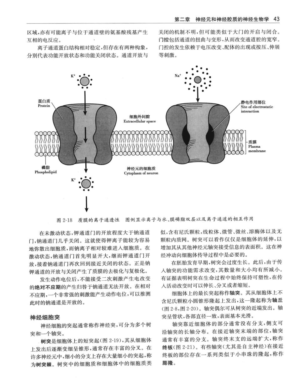 临床神经解剖++第7版_12997509_61-80.pdf_第2页