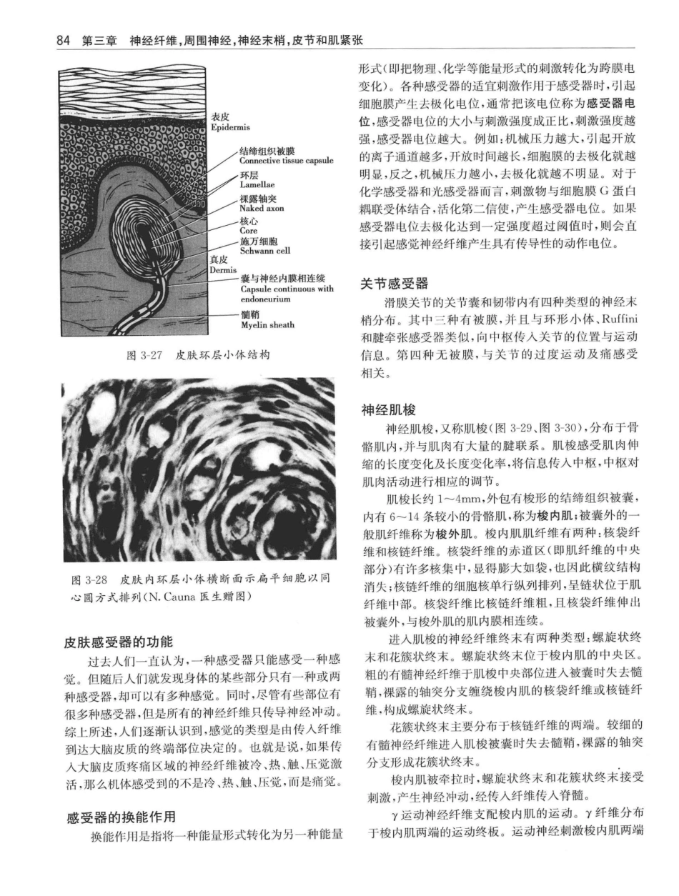 临床神经解剖++第7版_12997509_101-120.pdf_第3页