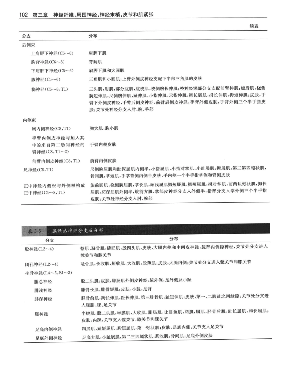 临床神经解剖++第7版_12997509_121-140.pdf_第1页