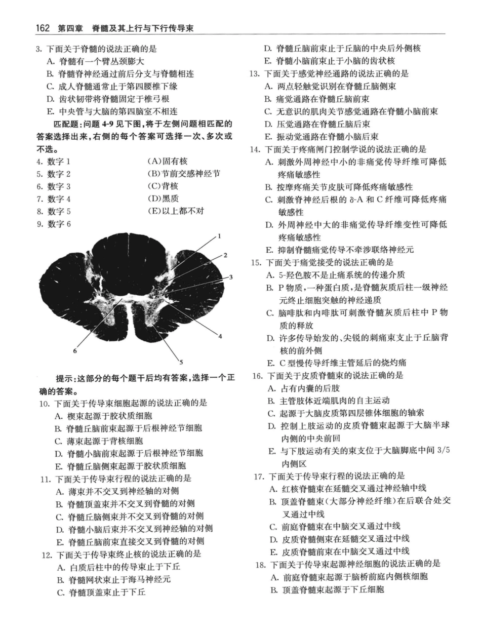 临床神经解剖++第7版_12997509_181-200.pdf_第1页