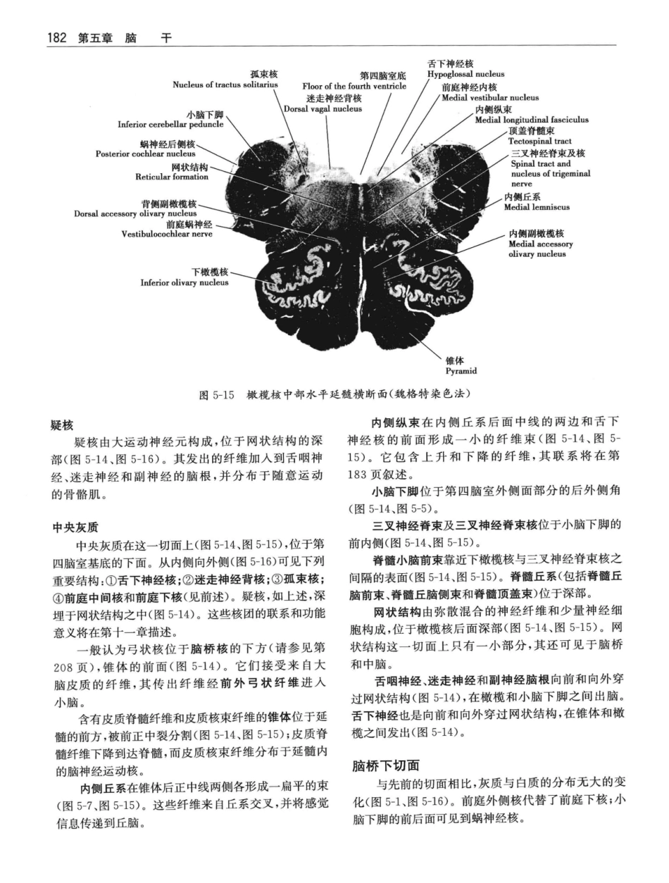 临床神经解剖++第7版_12997509_201-220.pdf_第1页