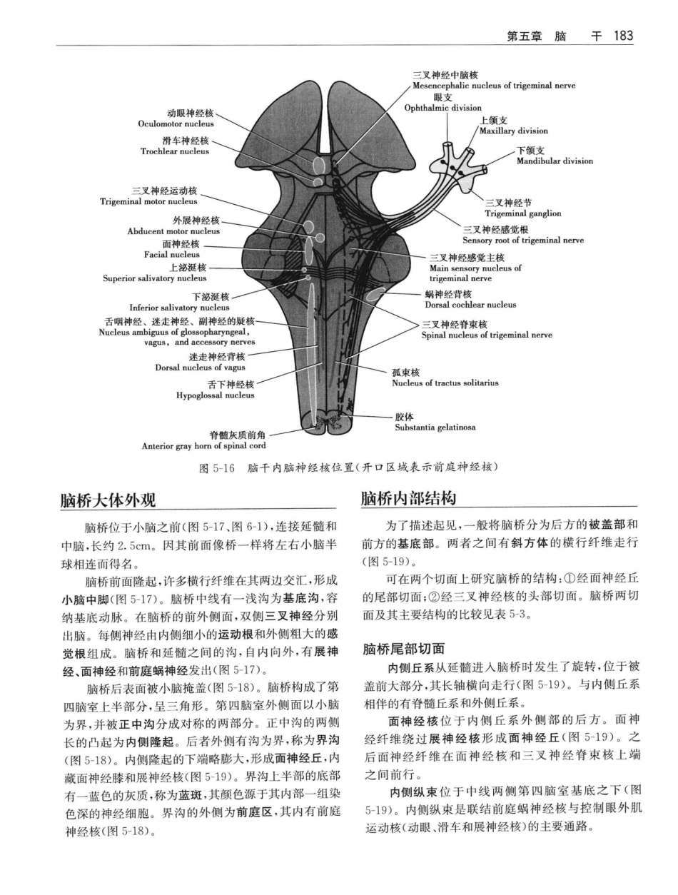 临床神经解剖++第7版_12997509_201-220.pdf_第2页