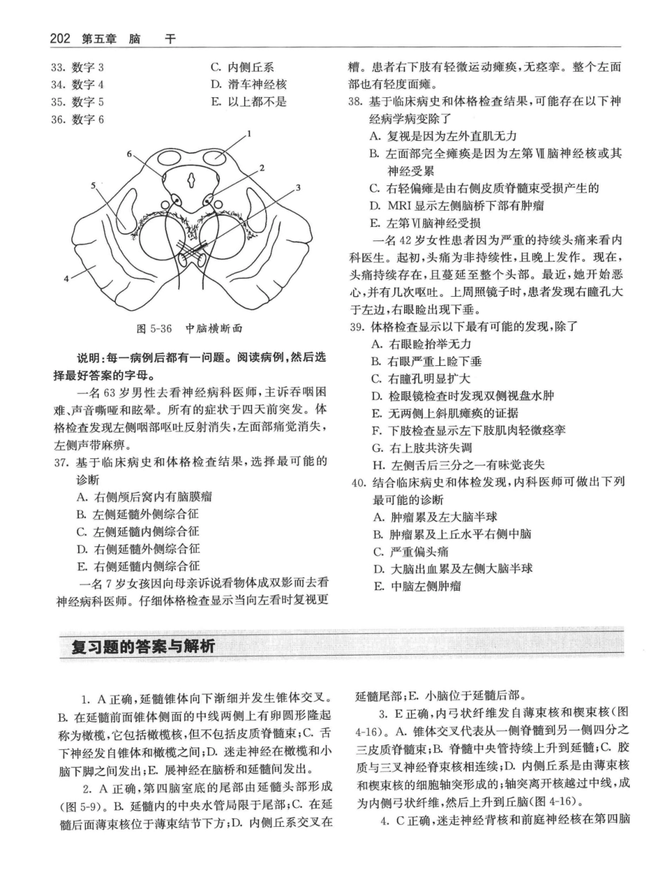 临床神经解剖++第7版_12997509_221-240.pdf_第1页