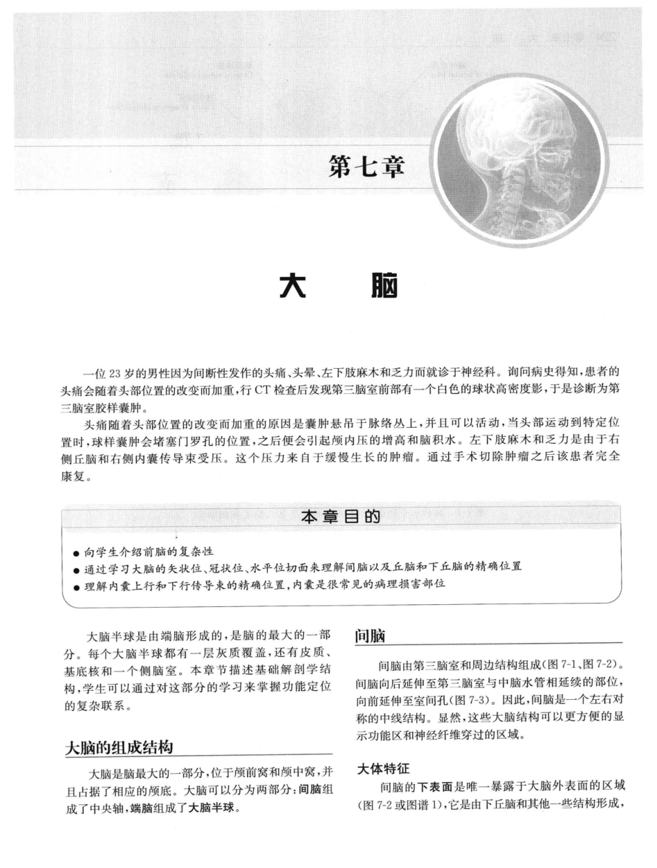 临床神经解剖++第7版_12997509_241-260.pdf_第2页