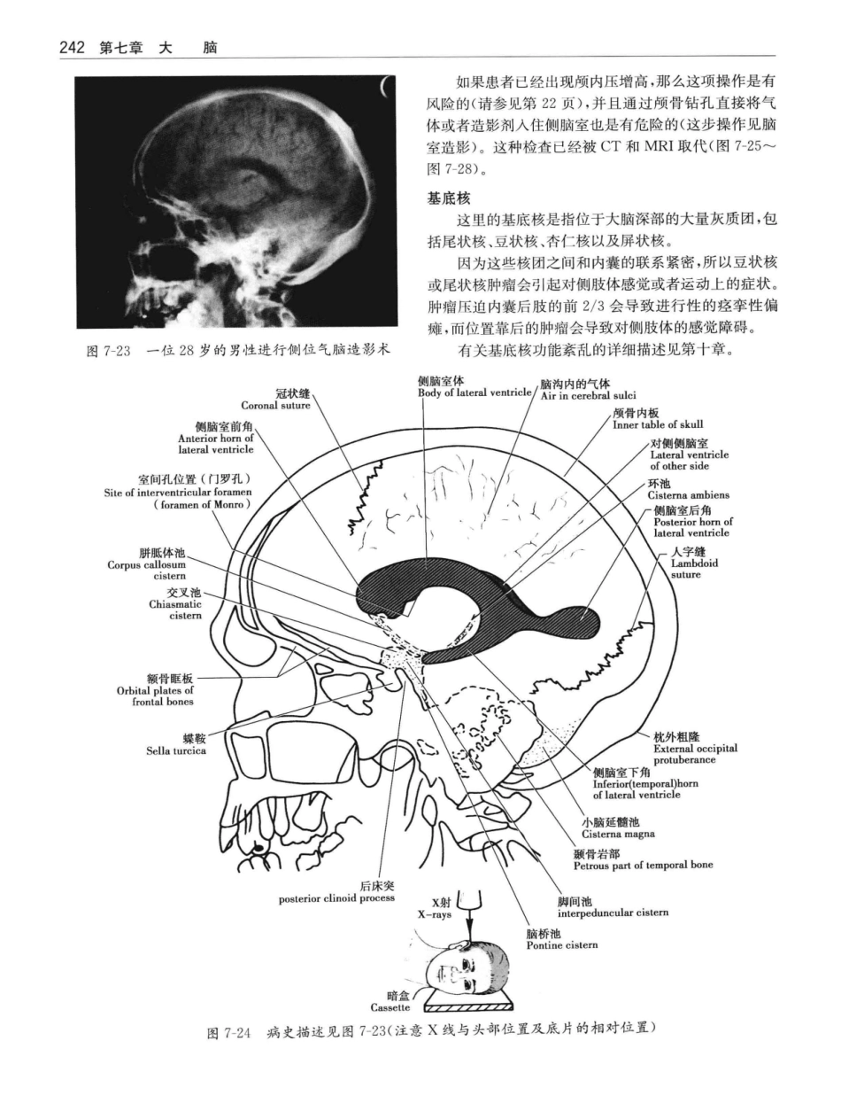 临床神经解剖++第7版_12997509_261-280.pdf_第1页