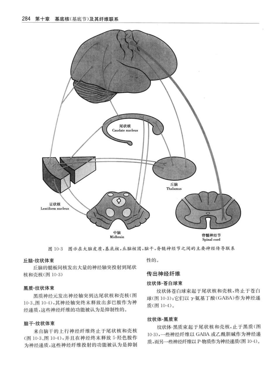 临床神经解剖++第7版_12997509_301-320.pdf_第3页