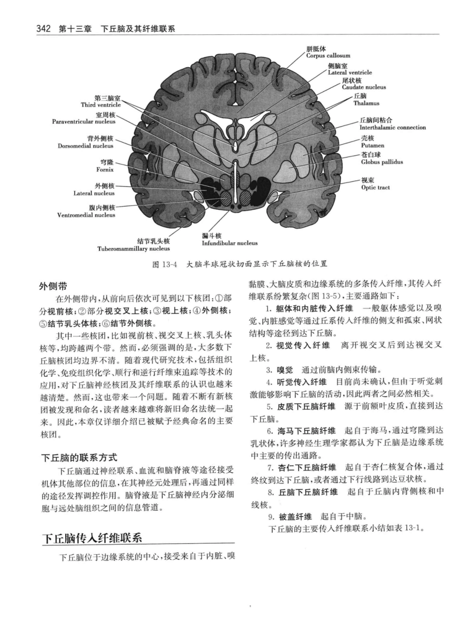 临床神经解剖++第7版_12997509_361-380.pdf_第1页