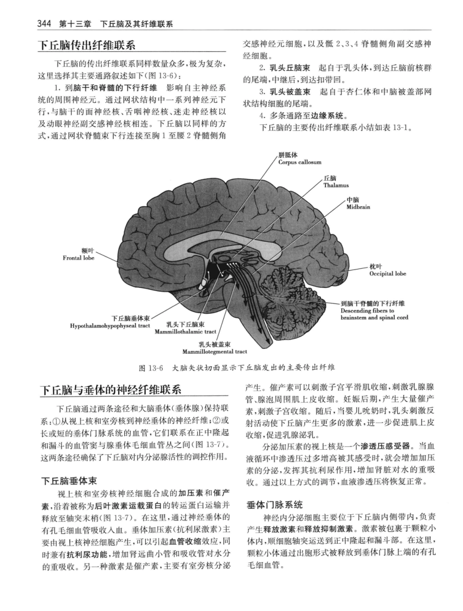 临床神经解剖++第7版_12997509_361-380.pdf_第3页