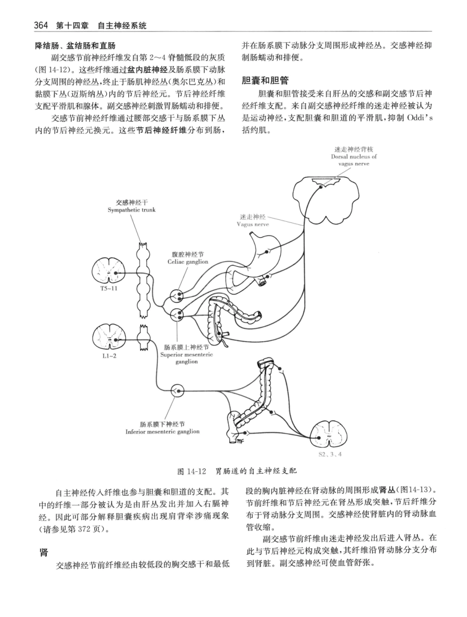 临床神经解剖++第7版_12997509_381-400.pdf_第3页