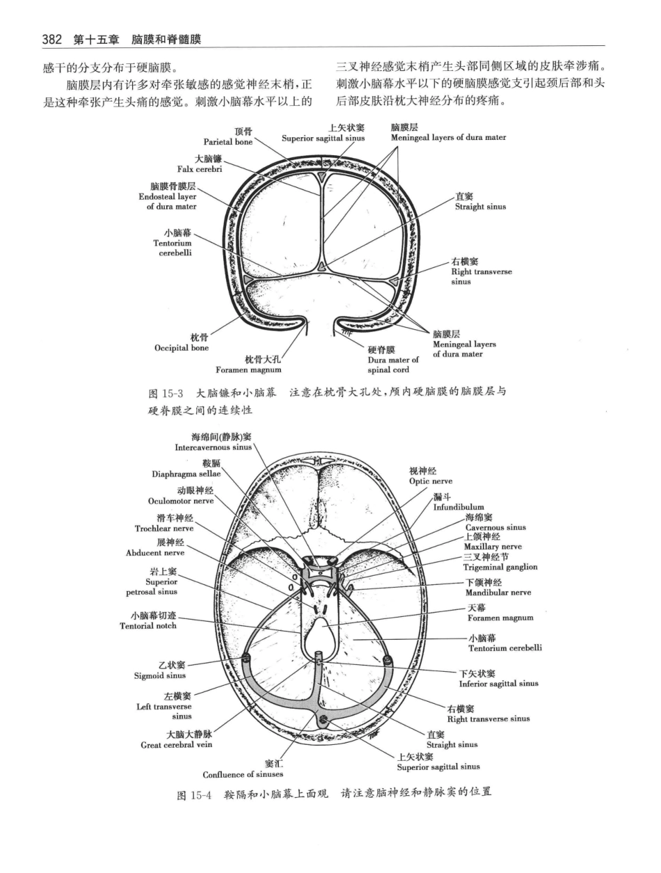 临床神经解剖++第7版_12997509_401-420.pdf_第1页