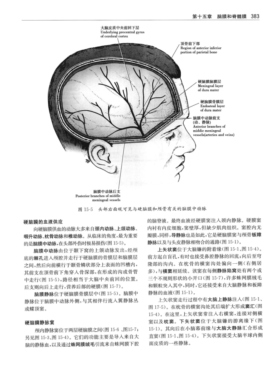 临床神经解剖++第7版_12997509_401-420.pdf_第2页