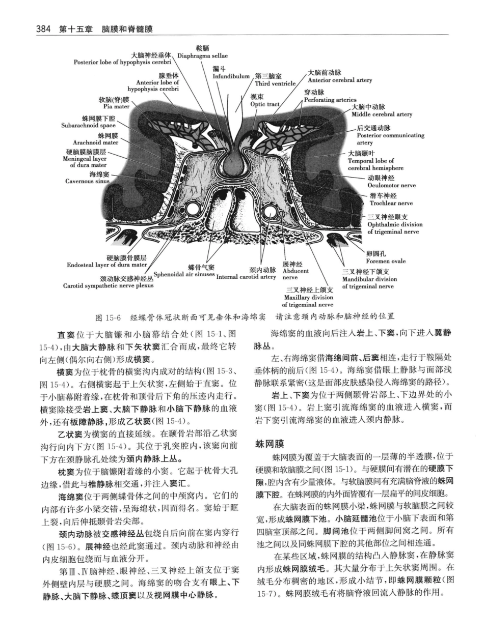 临床神经解剖++第7版_12997509_401-420.pdf_第3页