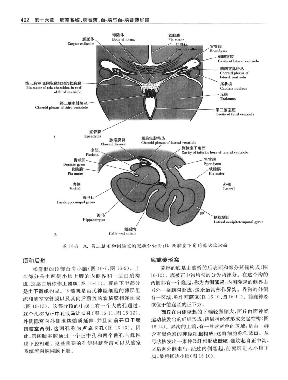临床神经解剖++第7版_12997509_421-440.pdf_第1页