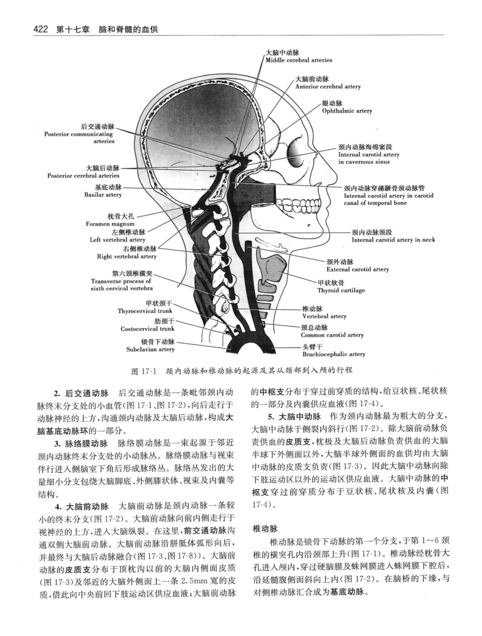 临床神经解剖++第7版_12997509_441-460.pdf_第1页