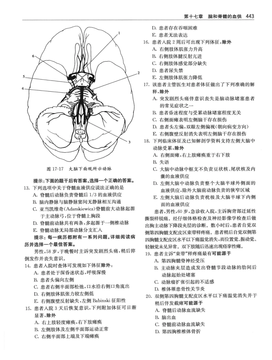 临床神经解剖++第7版_12997509_461-480.pdf_第2页