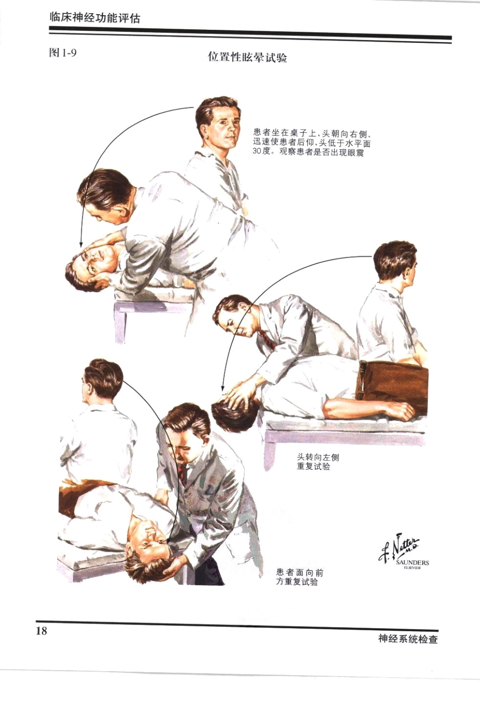 奈特神经系统疾病彩色图谱_樊东升2009译（全彩图）_31-60.pdf_第1页