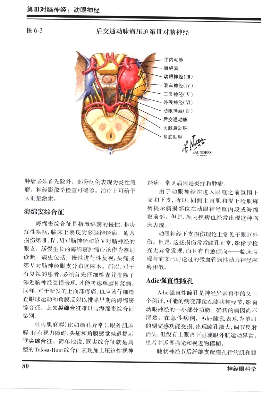 奈特神经系统疾病彩色图谱_樊东升2009译（全彩图）_91-120.pdf_第3页