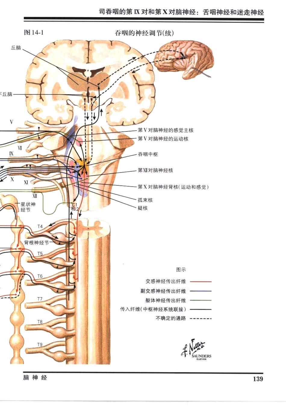奈特神经系统疾病彩色图谱_樊东升2009译（全彩图）_151-180.pdf_第2页
