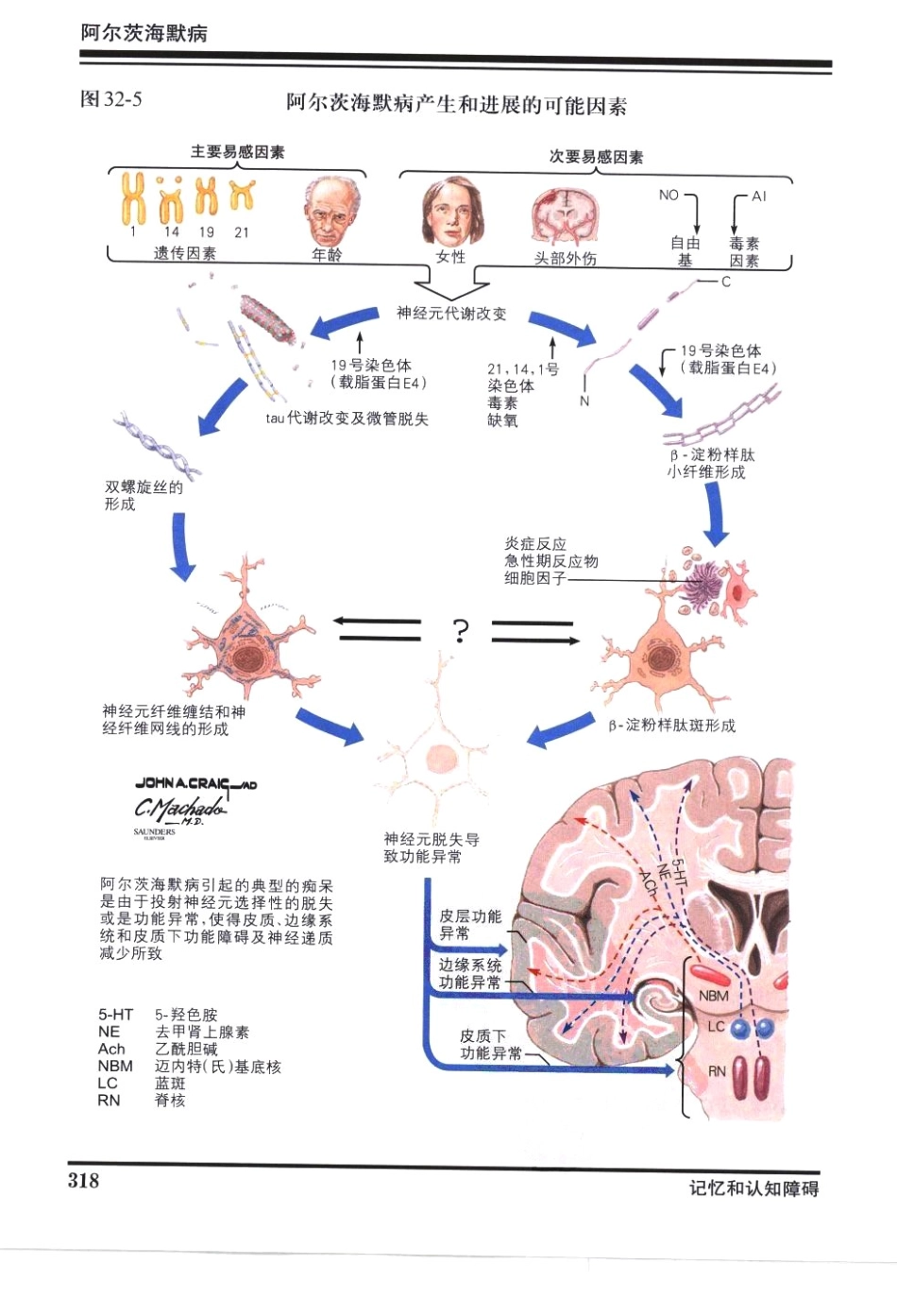 奈特神经系统疾病彩色图谱_樊东升2009译（全彩图）_331-360.pdf_第1页